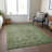 Machine Washable Indoor/Outdoor Xhevrie Olive Rug-1092842365