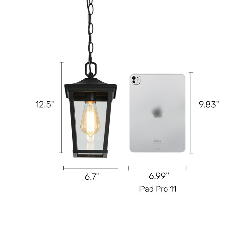 Cosimo 1- light 12.5" H Black Outdoor Pendant with Adjustable 59" Chain
