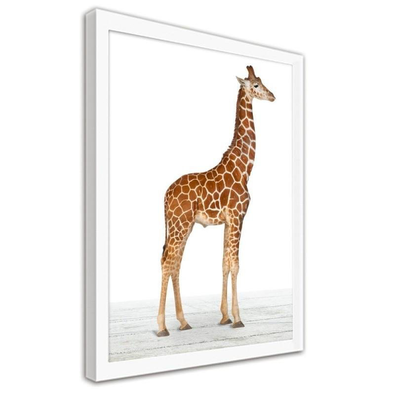 Gerahmtes Poster Giraffe