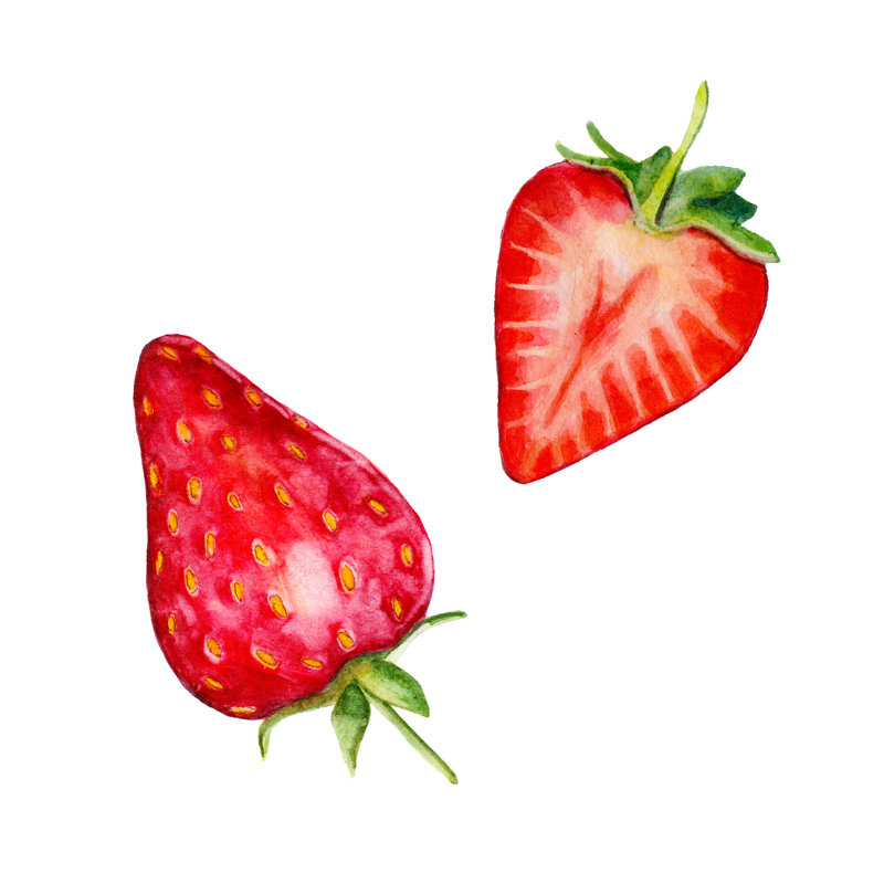 Hand-drawn Strawberries - Wrapped Canvas Print, 51cm H x 51cm W x 3.8cm D