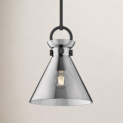 Tiney Single Light Glass Steel Pendant
