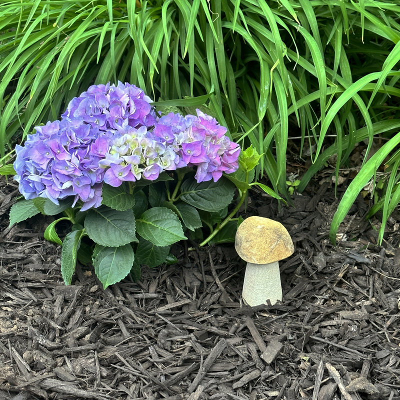 Champignon Boulder 5 po Stone Age Creations
