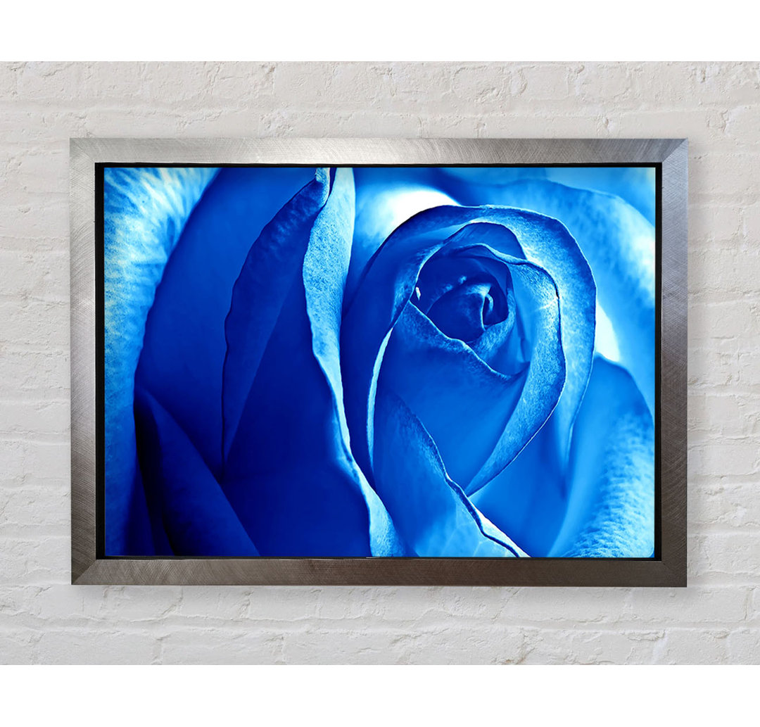 Leinwandbild Blaue Rose - Blumen