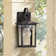 12.5''H Glass Outdoor Wall Lantern With Dusk To Dawn