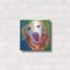 «Golden - Daisy Mae» par Dawg Painter-1597946558