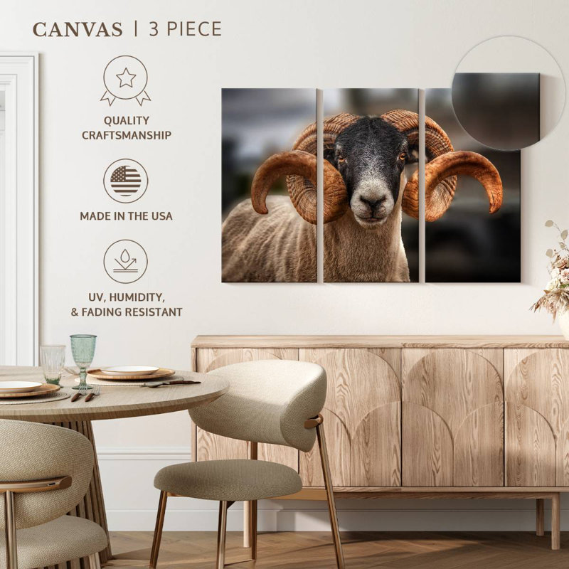 Brampt Scottish Blackface Ram, 32" H x 50" W