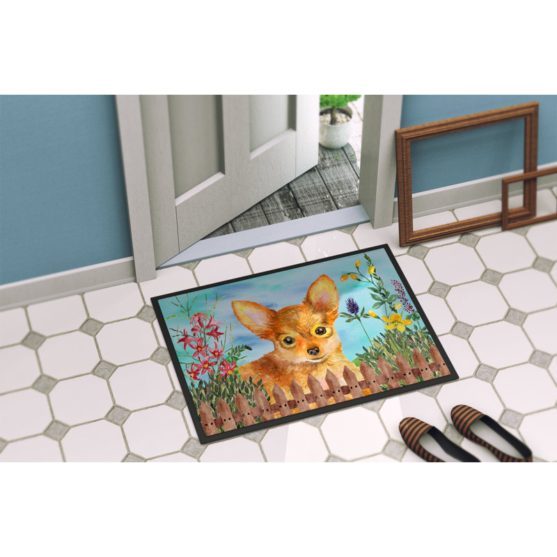Tapis de porte d’extérieur antidérapant à ressorts terrier jouets, Rectangle 2 pi x 3 pi