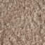 Tissu Schnacher x Patterson Flynn Teddy-71325538