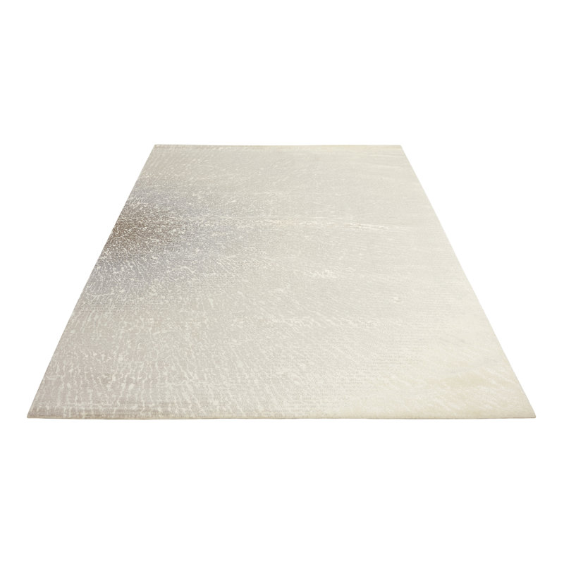Akers Abstract Area Rug, Rectangle 259 x 351cm