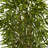 48'' Faux Bamboo Tree in Pot