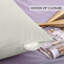 Eva-Sophia Square Scatter Cushion-1359962450
