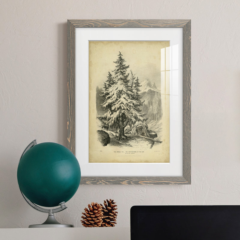 The Spruce Premium encadré mat - prêt à accrocher, H 24 po x l 20 po x P 1 po, Gris