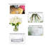 Arrangements floraux mixtes dans un vase-444457802