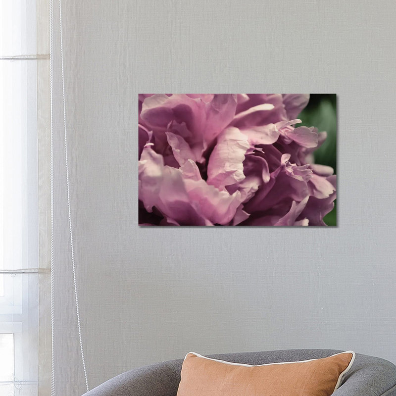 Pink Peony In Morning by Michelle Calkins - Wrapped Canvas Print
