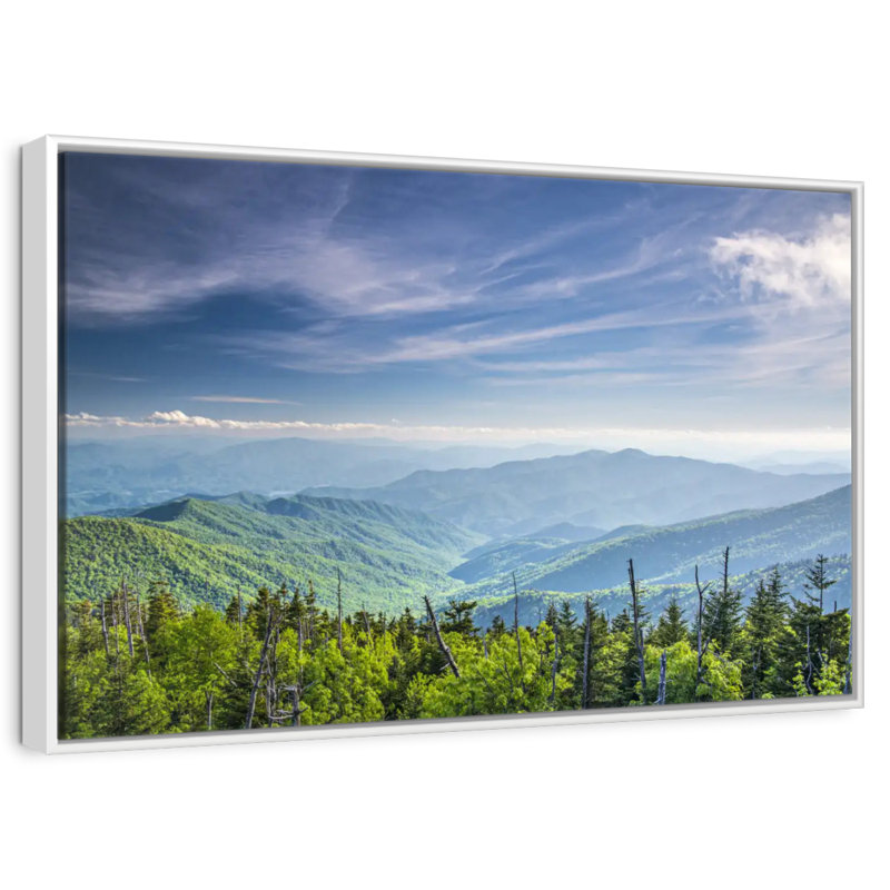 Clingmans Dome, paysage de montagne, Cadre flottant blanc, 46 po x 31 po