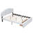 Kaura Upholstered Platform Storage Bed-318569183