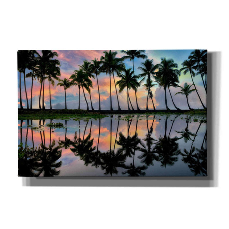 «Palm Reflections» par Dennis Frates, art mural sur toile, H 40 po x l 60 po x P 1,5 po