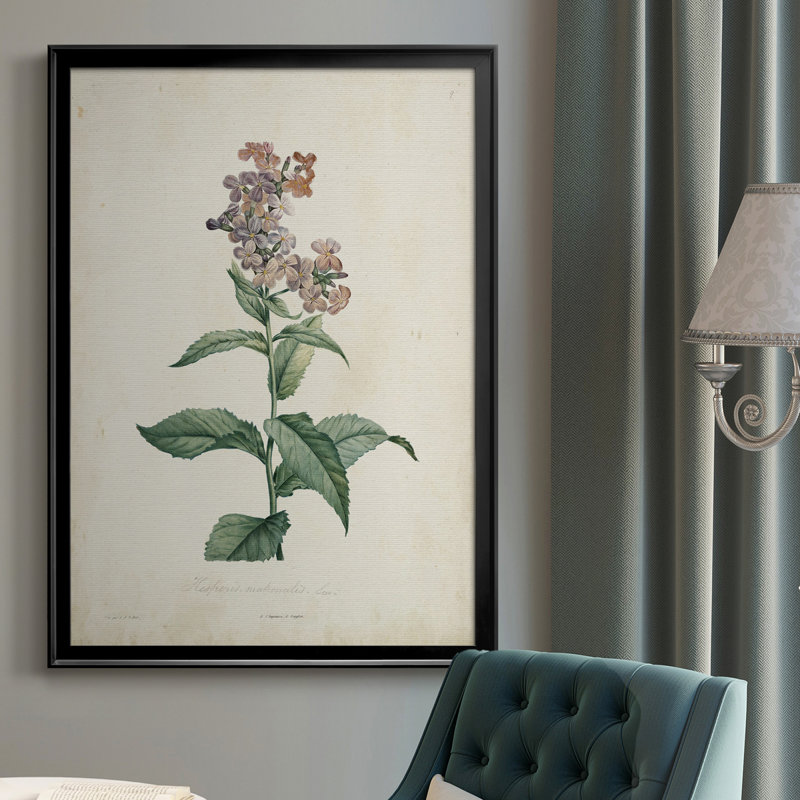 Toile encadrée de qualité supérieure Traditional Botanical II - prête à être accrochée, H 30,5 po x l 22,5 po x P 1 po, Noir