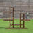 Dharminder Plant Stand