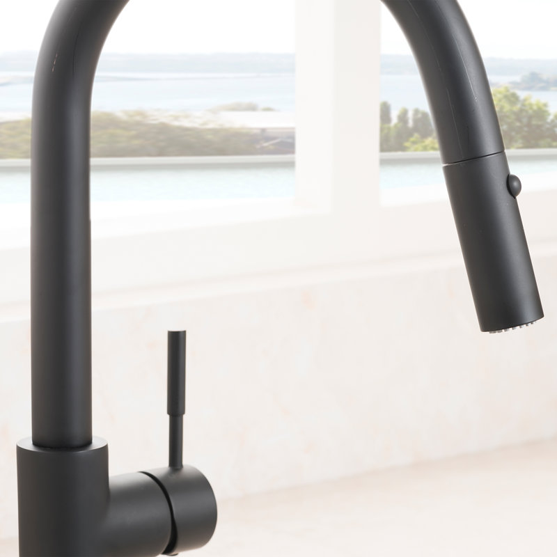 Arthur Single Handle Kitchen Faucet with Side Spray and Accessories, Matte Black