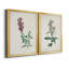 Traditional Botanical I - Ensemble de 2 reproductions d'art sur toile encadrées-1850932076-1850932079