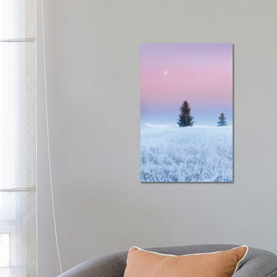 First Frost of Winter 1 Piece Wrapped Canvas Wall Art