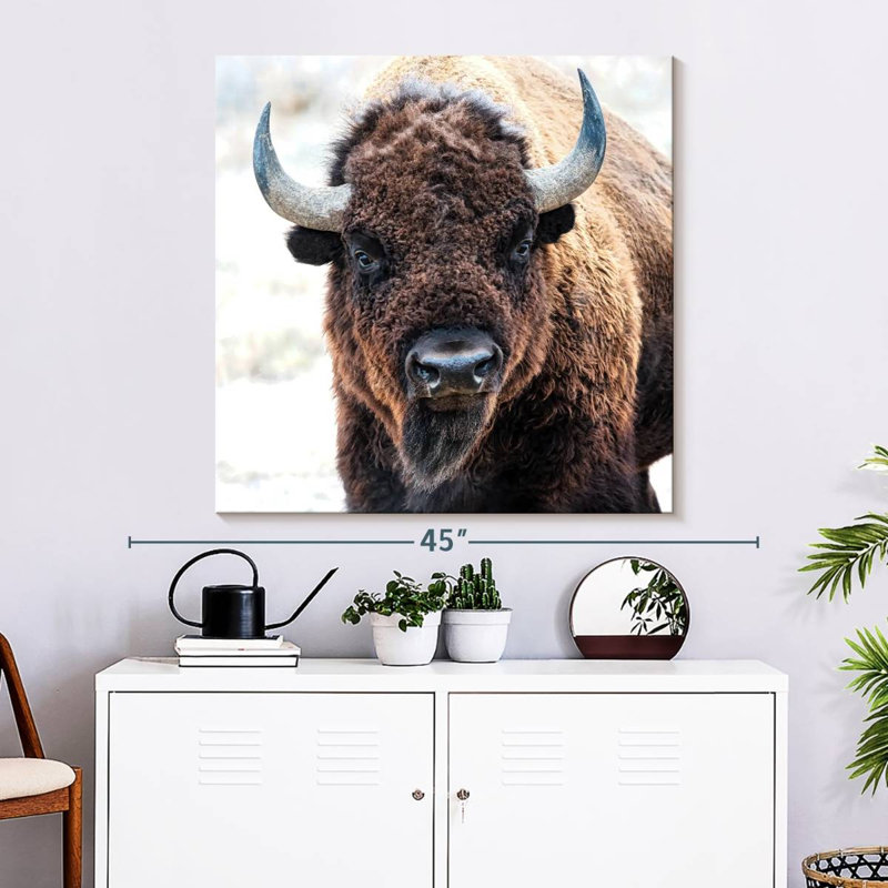 Brampt American Bison - A National Treasure, 33" H x 33" W