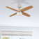 Frittelli 44'' Ceiling Fan with LED Lights and Remote Included