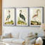 Heron Portrait I - Impression personnalisée de qualité supérieure avec passe-partout - 3 pièces-490649565-490649560
