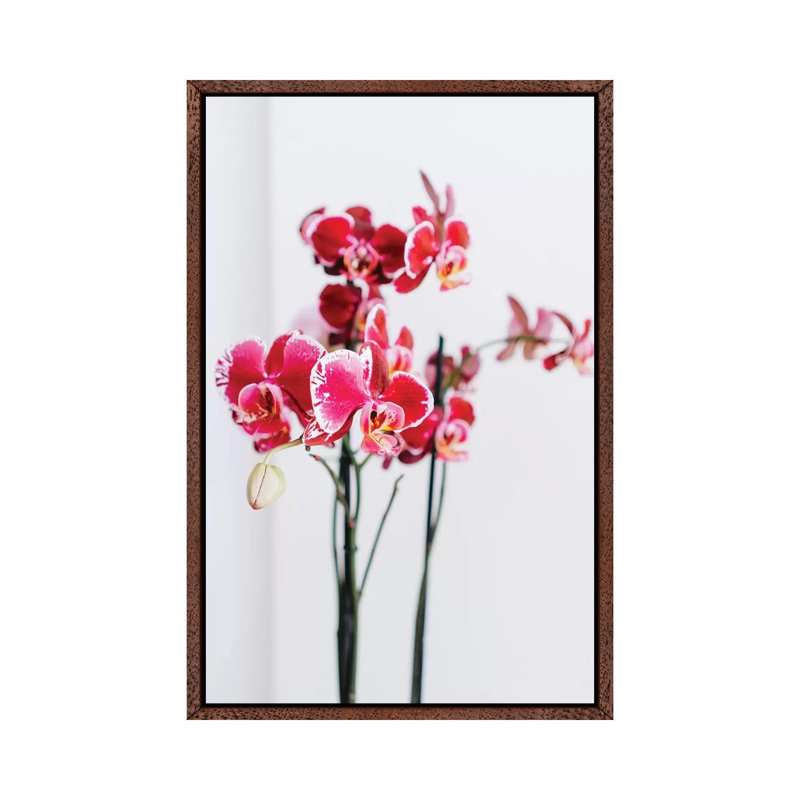 Positano Blooms II by Bethany Young - Print on Canvas, 101.6cm H x 66.04cm W x 3.81cm D, Classic Brown Wood Framed
