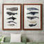 Baleine graphique I - ensemble de 2 cadres photo-966349126-966349135-1023591107
