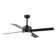Avamaria 52'' Ceiling Fan with LED Lights