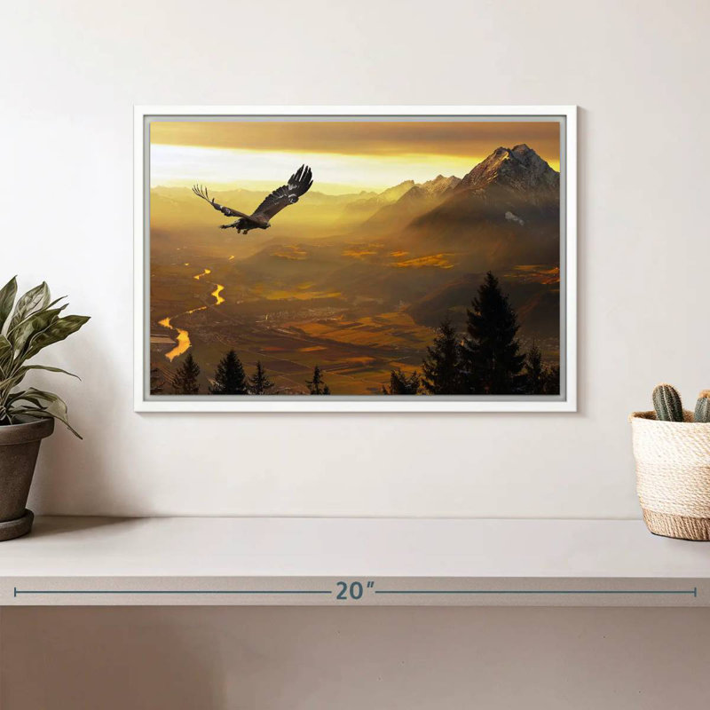 Aigle royal au coucher du soleil, Cadre flottant blanc, 13 po x 9 po