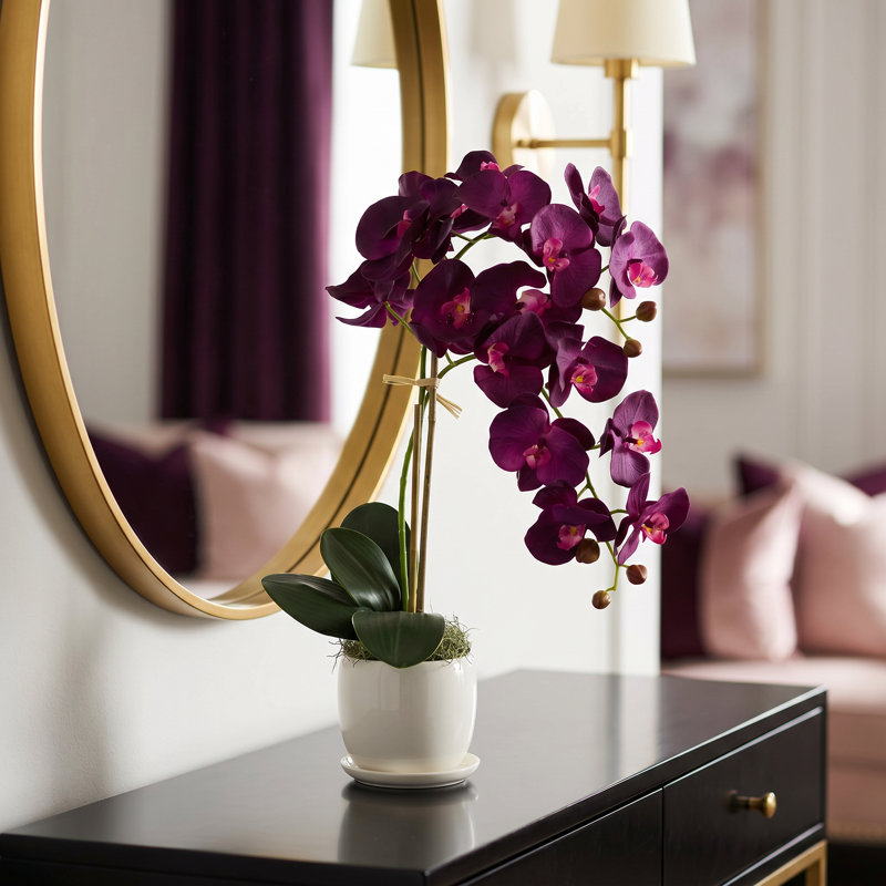 Arrangement floral orchidée en pot
