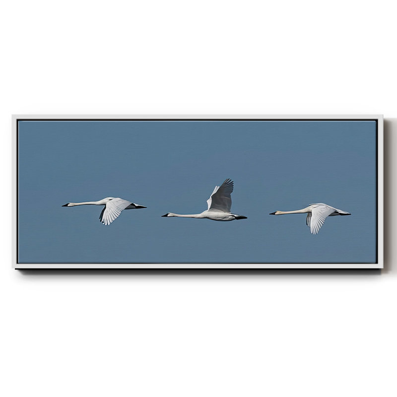 Wing Up Wing down- Framed Canvas, 20" H x 50" W