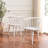 Paras Curved Back Dining Chair-1417383738