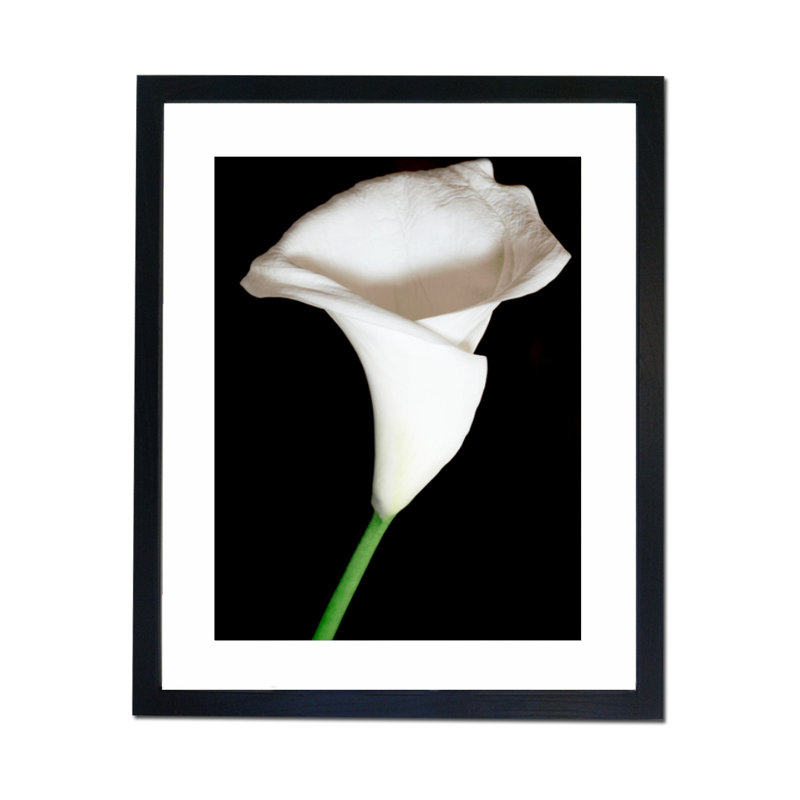 Single Picture Frame Print