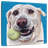 Brampt Yellow Lab Ball-109358216