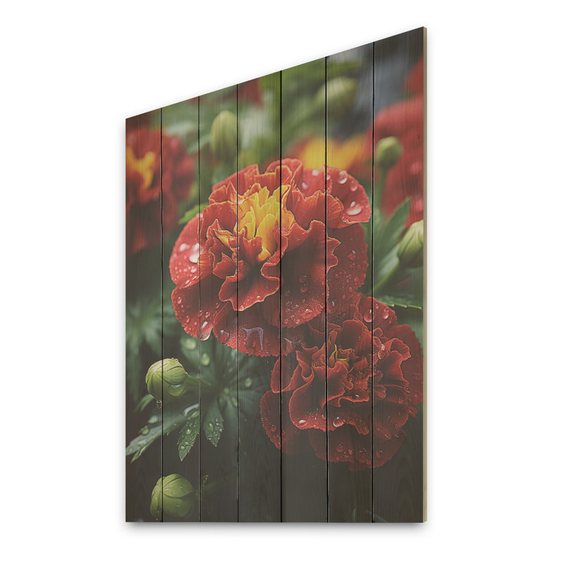 Red Marigold Medley - souci sur bois, H 40 po x l 30 po