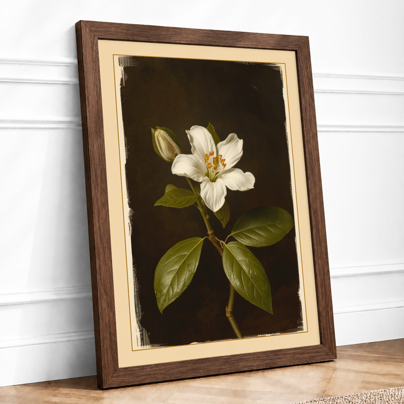Pale Bloom Study Botanical - Framed Print, Walnut, A1 - 84.1 x 59.4 cm