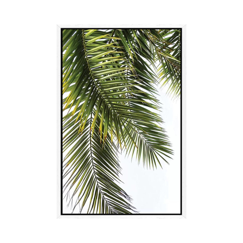 Palm Leaves by Lexie Greer - Print on Canvas, 66.04 cm H x 45.72 cm W, White Floater Framed