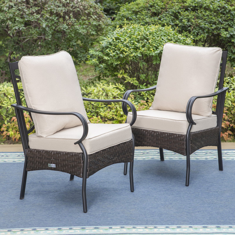 Lark Manor Arnisa Outdoor Dining Armchair with Cushion & Reviews ...