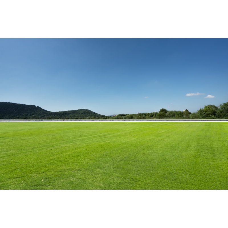 Field and mountain 1 Piece Wrapped Canvas Wall Art, 51cm H x 76cm W