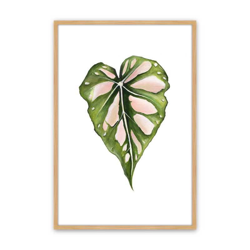 Étude de veines rosées par Dollybirds, estampe d'art, H 25 po x l 19 po, Érable américain, reproduction encadrée