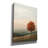 'Peace In Autumn' by r3darch0n Canvas Wall Art-1077666073