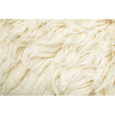 Barnegat Hand Woven Wool Indoor Rug