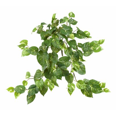 Charlton Home® 24'' Faux Ivy Plant & Reviews | Wayfair