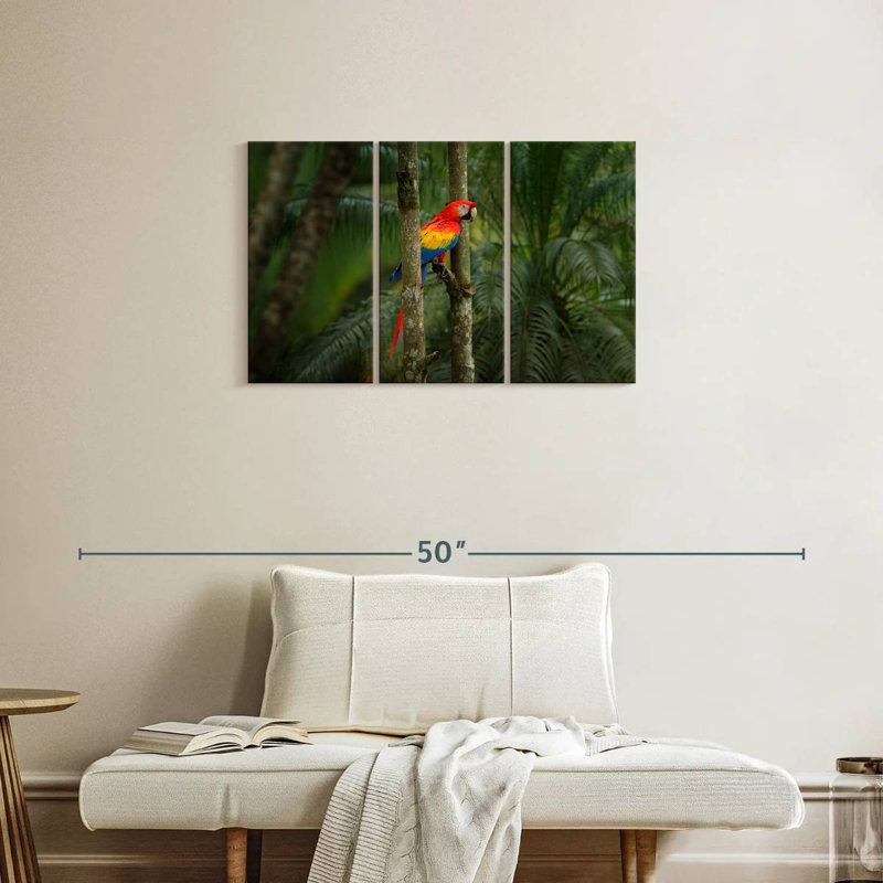 Brampt Wild Scarlet Macaw, 20" H x 33" W