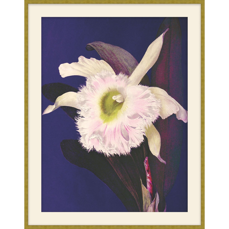 Jewel Blooms 3 Print, 44.5" H x 35.5" W