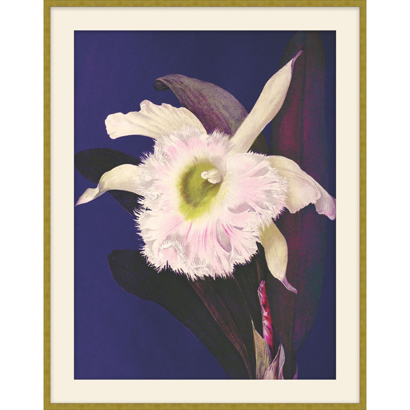 Jewel Blooms 3 Print, 34.5" H x 27.5" W